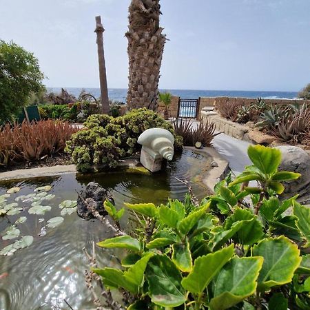 Little Paradise In El Medano 2 Гранадилла-де-Абона Экстерьер фото
