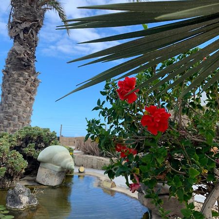 Little Paradise In El Medano 2 Гранадилла-де-Абона Экстерьер фото