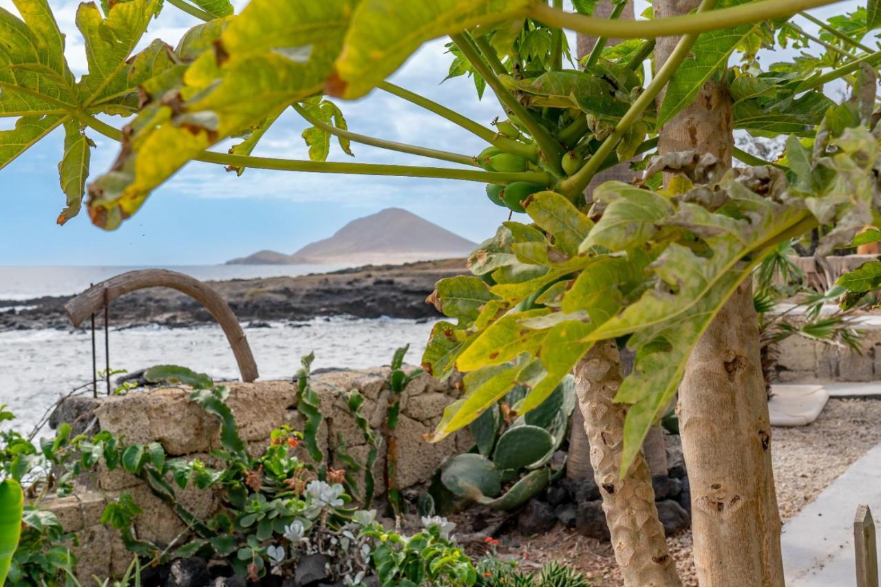 Little Paradise In El Medano 2 Гранадилла-де-Абона Экстерьер фото