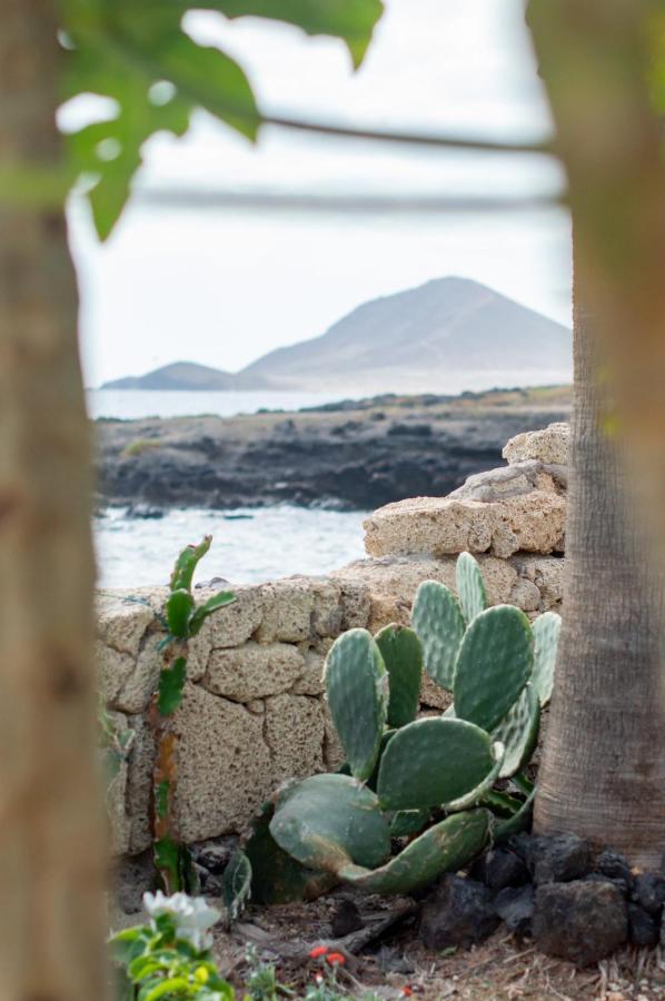 Little Paradise In El Medano 2 Гранадилла-де-Абона Экстерьер фото