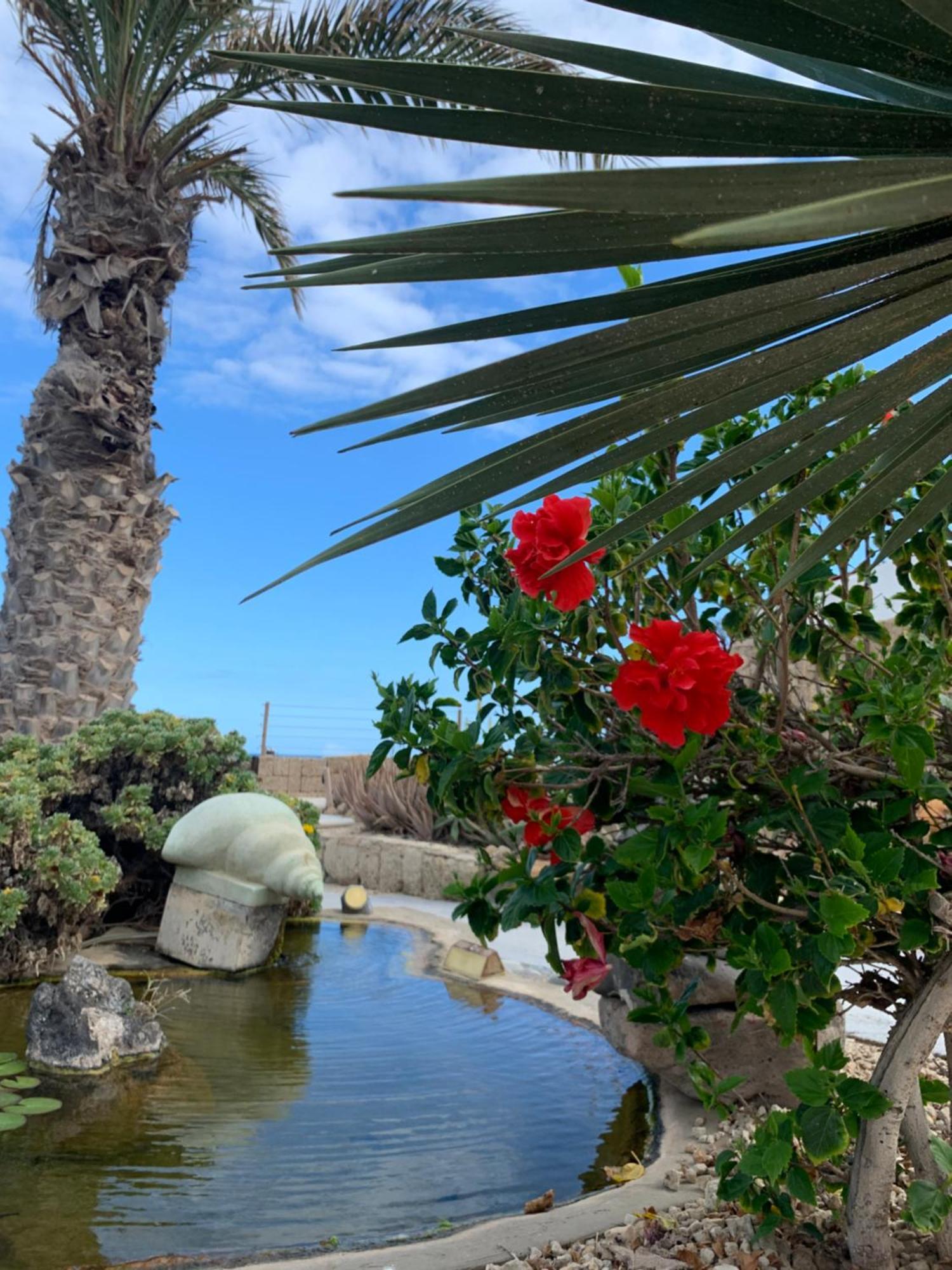 Little Paradise In El Medano 2 Гранадилла-де-Абона Экстерьер фото